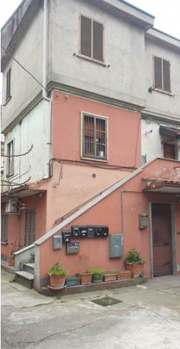Foto1