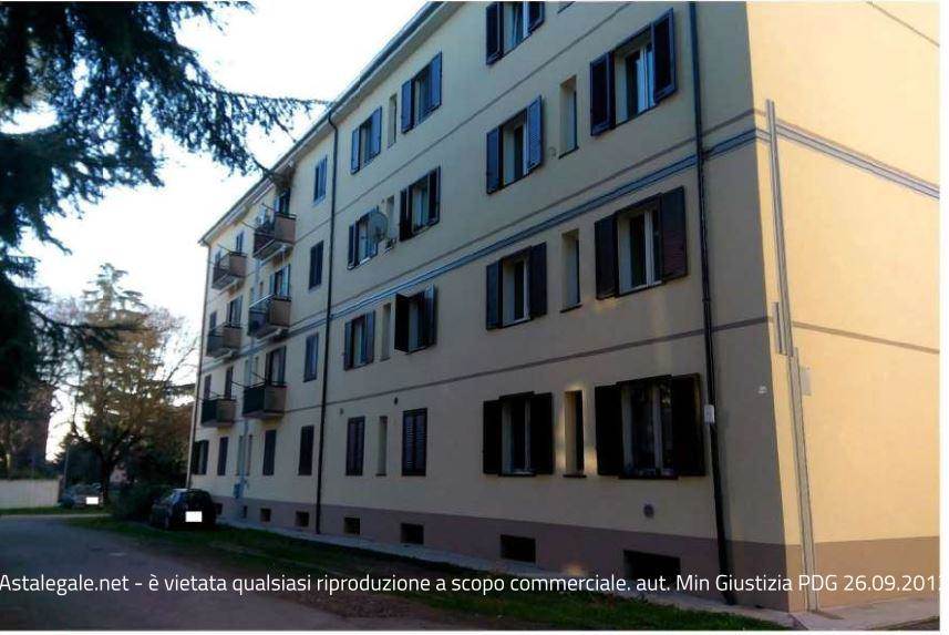 Foto1
