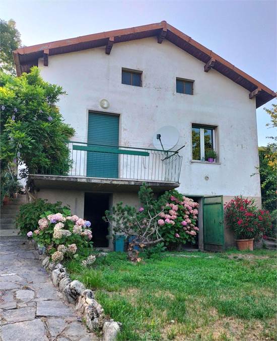 Foto1