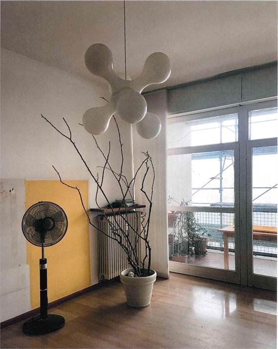 Foto1