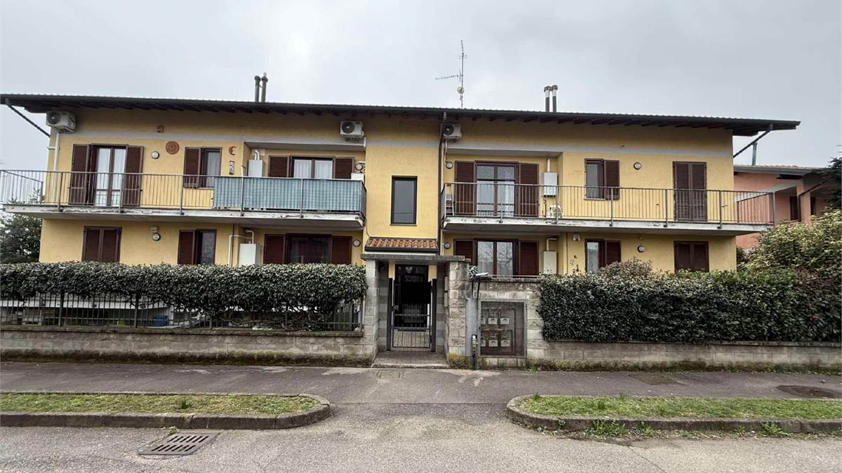 Foto1