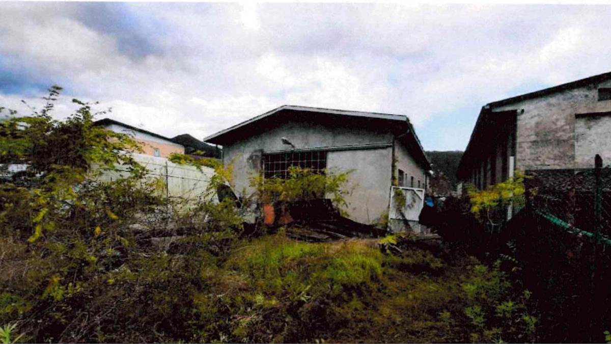 Foto1